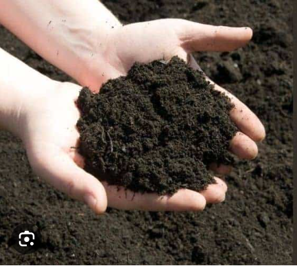black cotton soil